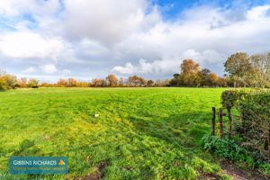 Field- click for photo gallery